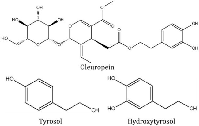 Chemical Structure Of Oleuropein