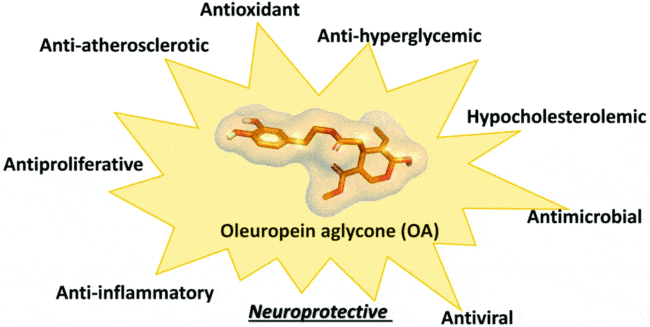 Oleuropein Aglycone Protection