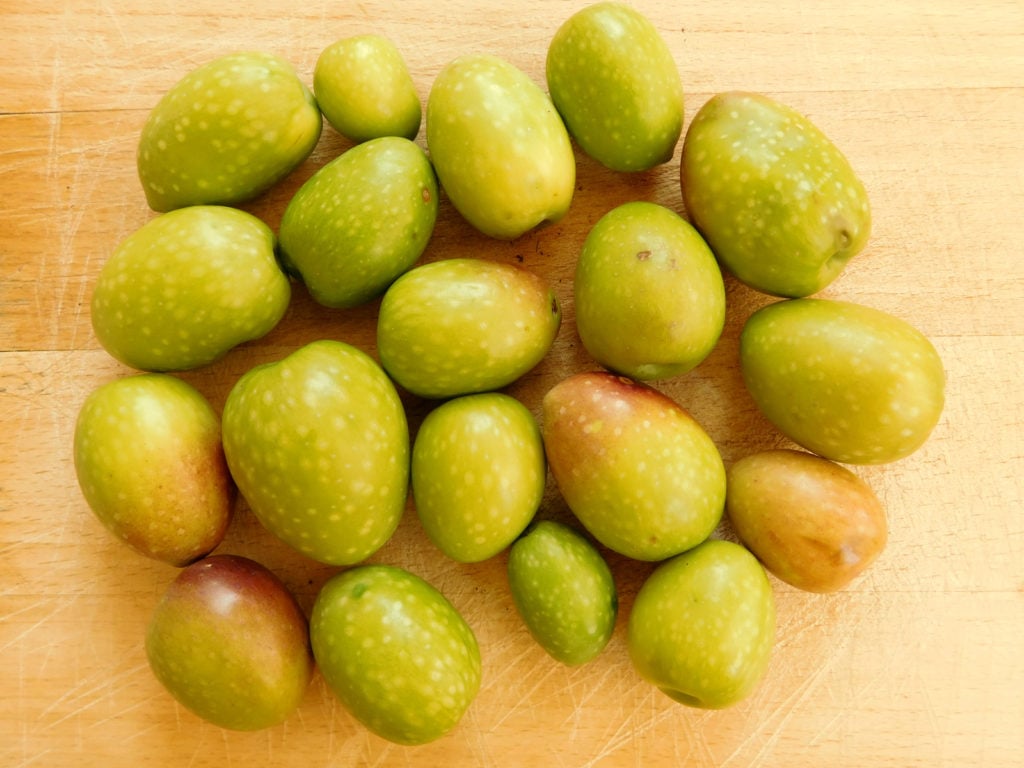 Olives Packed With Polyphenols: Polyphenol content is high in Morocco Gold
