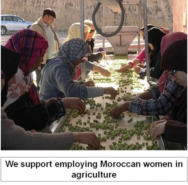 We Support Employing Moroccan Women In Agriculture