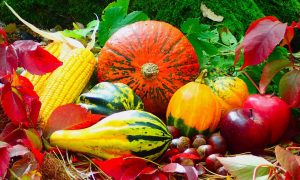Mediterranean Meal Planning This Fall